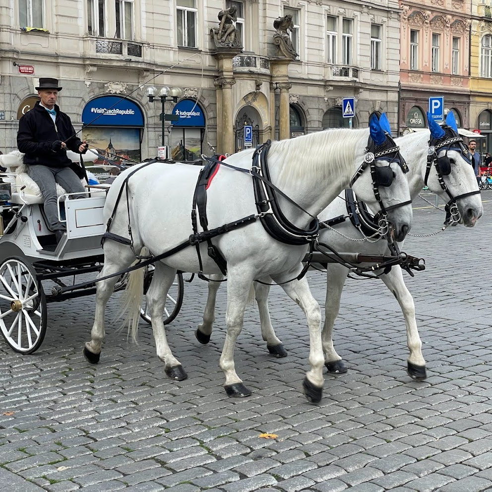 Photo from Prague